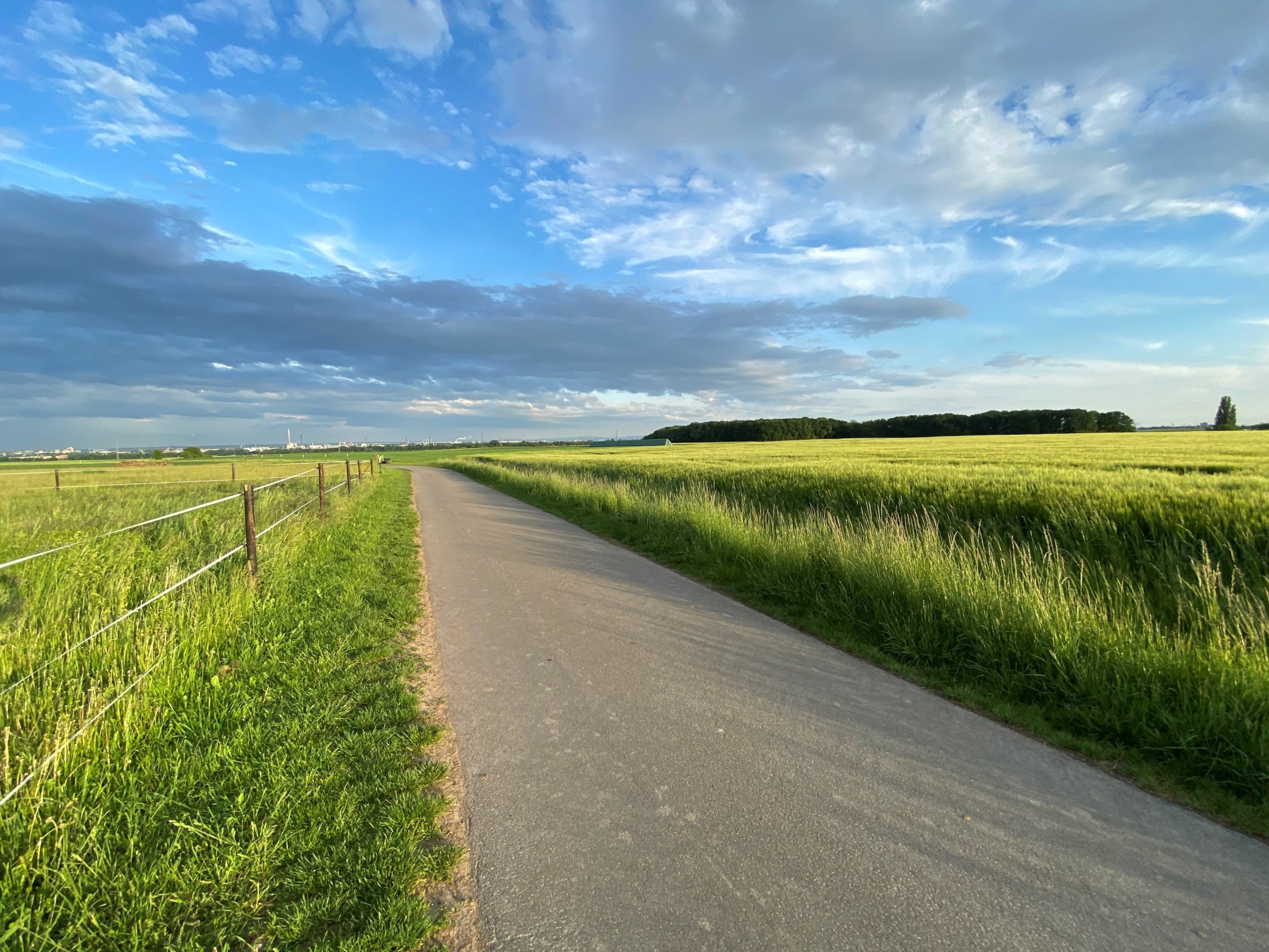 Ein Bürgerpark für Liederbach